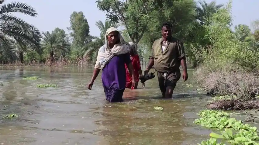 Sindh Farmers Warned to Take Precautions Against Rain and Flood Risks